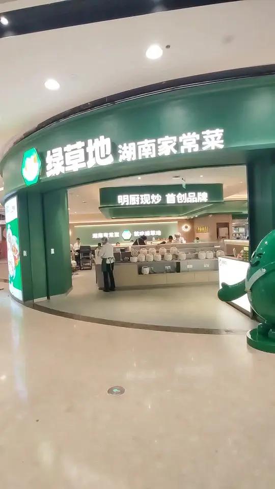 绿草地:湖南家常菜