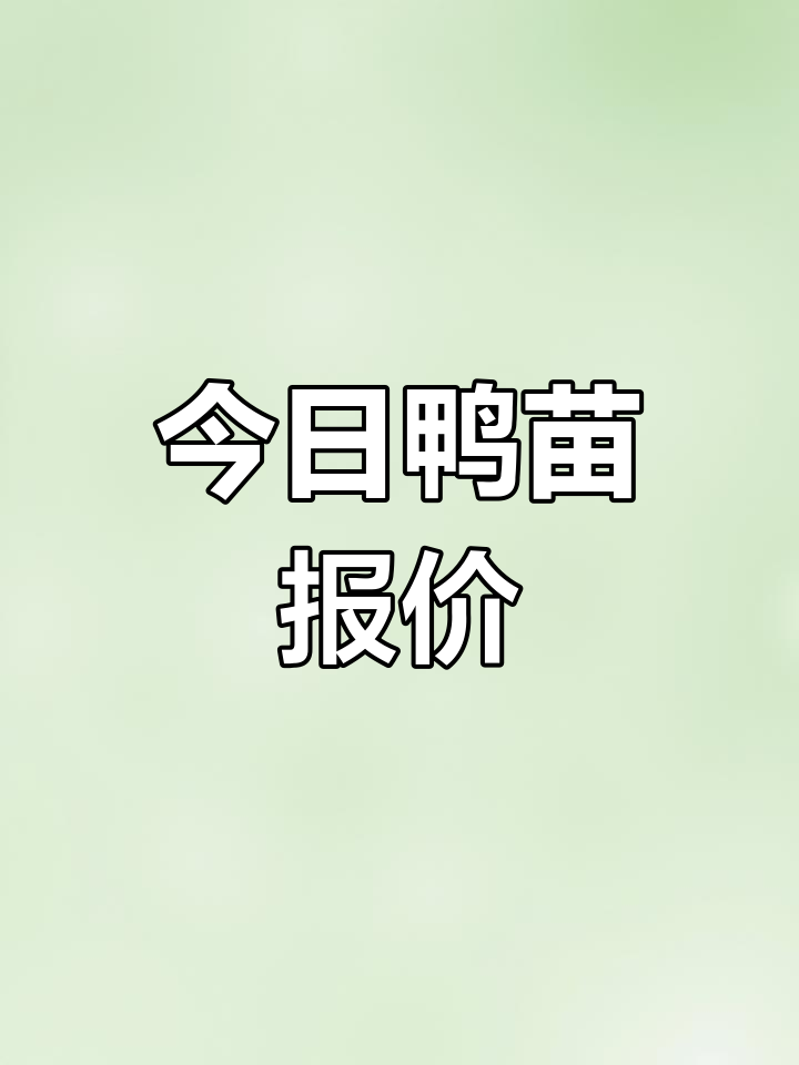 8月4日肉鸭苗价格走势