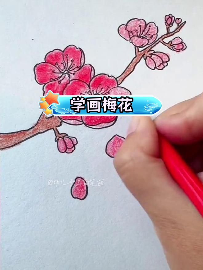 梅花彩铅画教程,轻松学会