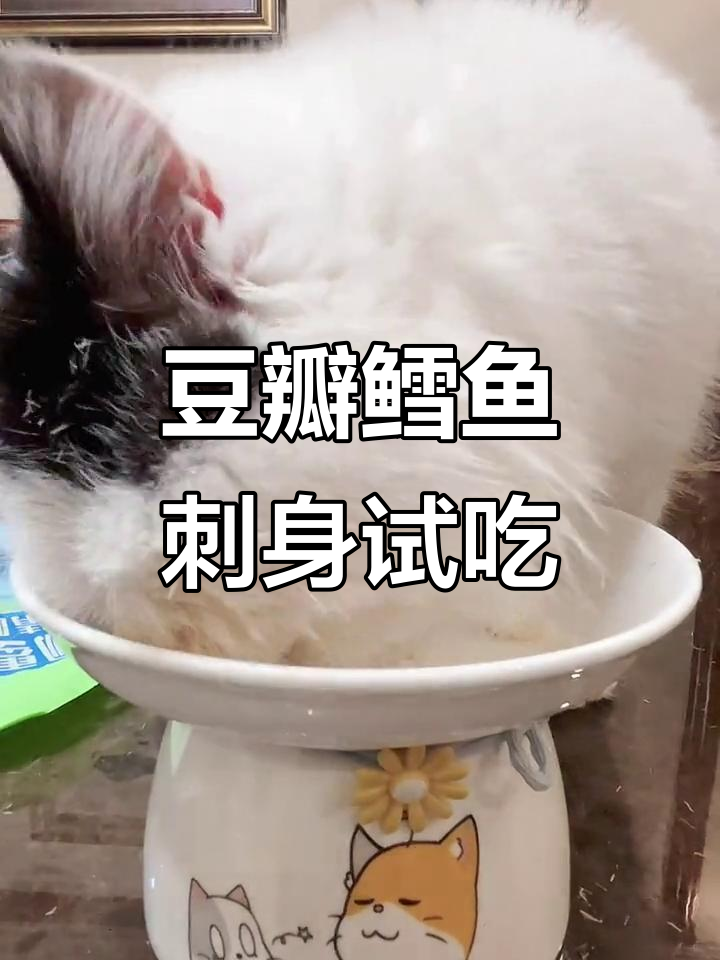 鳕鱼刺身太香了,肉松口感让人停不下来