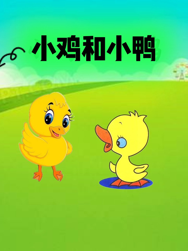 新故事来了一一小鸡和小鸭