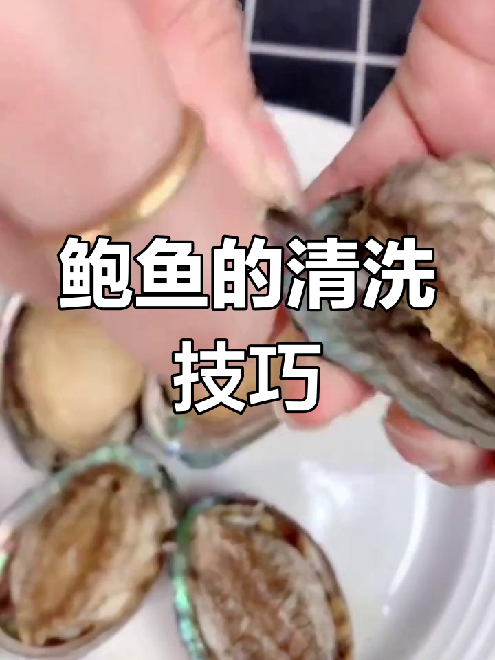 鲍鱼哪些部位能吃?教你轻松清理内脏和牙齿