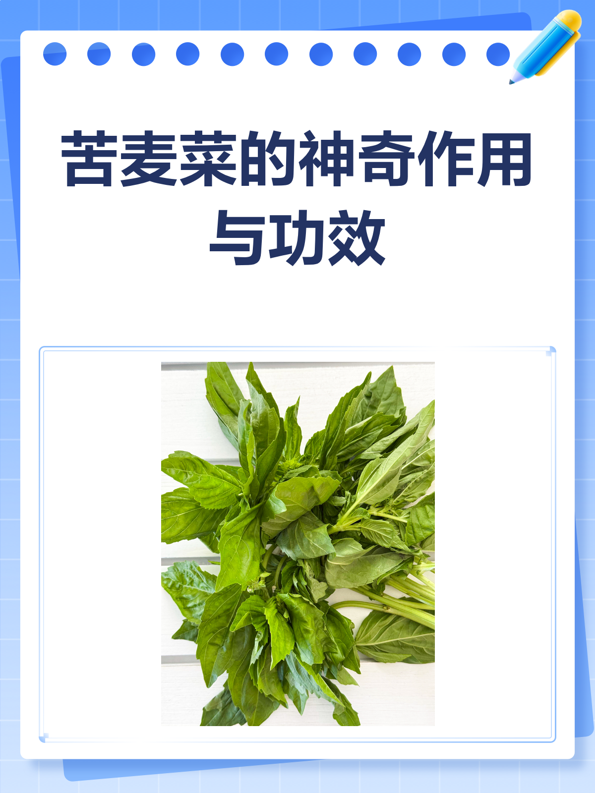 苦麦菜居然这么神奇？功效作用大揭秘！