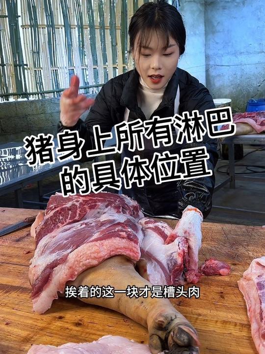 一条视频教会大家猪身上所有淋巴的具体位置,有用的话收藏点赞视频哦