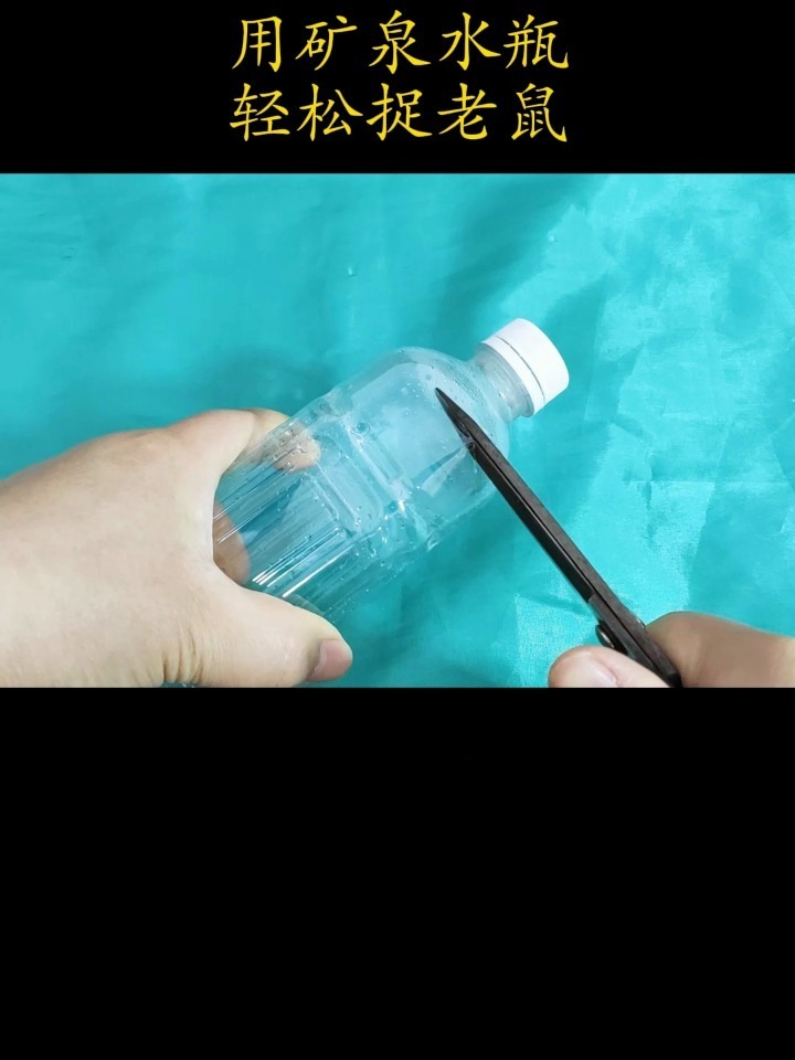 用矿泉水瓶自制抓老鼠神器