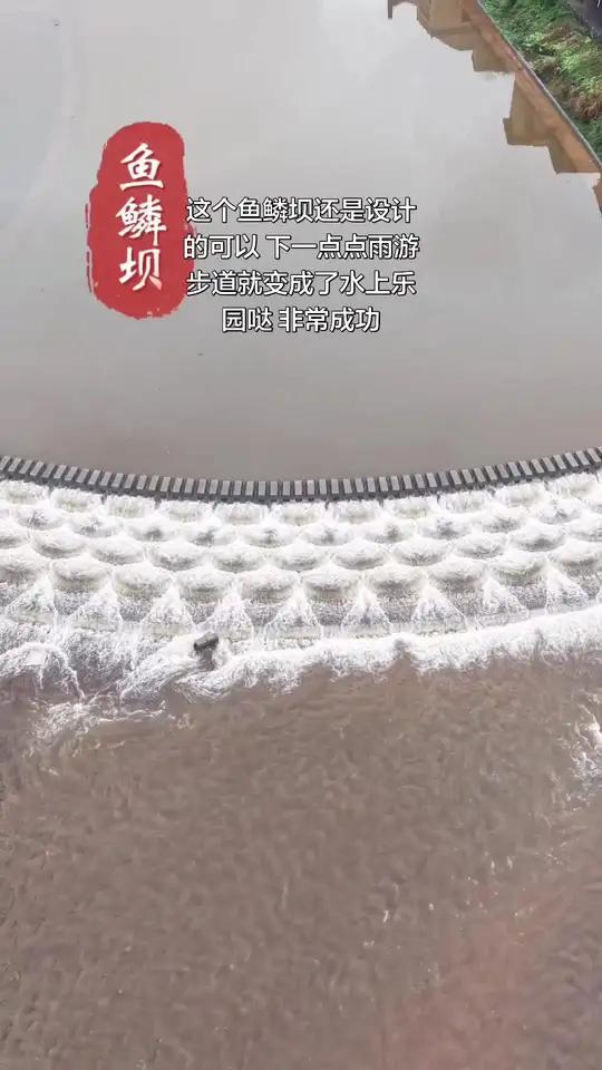 设计的太好了#鱼鳞坝 #张勇82 #歌里画里桑植等你