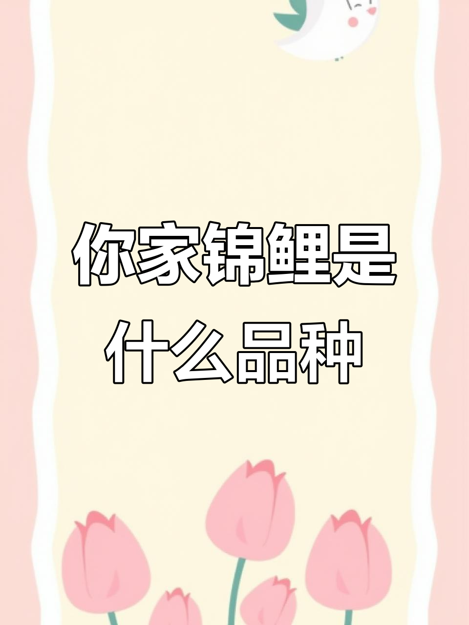 各种锦鲤品种大揭秘,看看你家是哪一款?