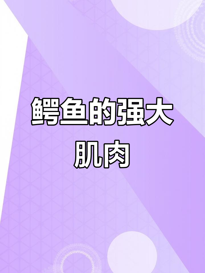鳄鱼肌肉揭秘:强壮四肢与发达咬肌