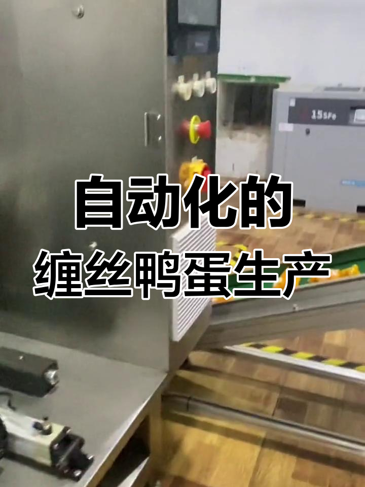 淇河三珍之一:缠丝鸭蛋自动化生产线揭秘