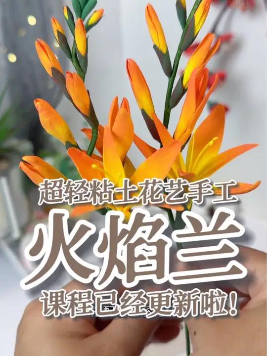 哇!这个花太好看了吧!关键还好做!课程又更新了一节!这个花叫做火焰兰,是不是很像一簇火苗?