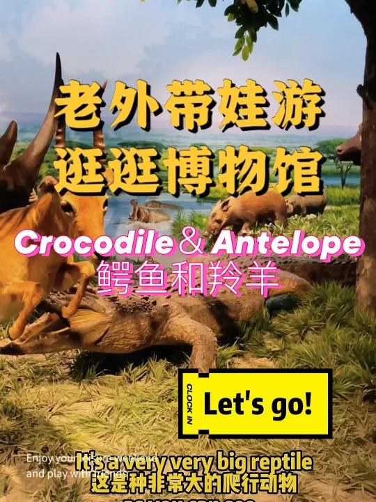 SuperGo|外教带娃-自然博物馆的鳄鱼和羚羊