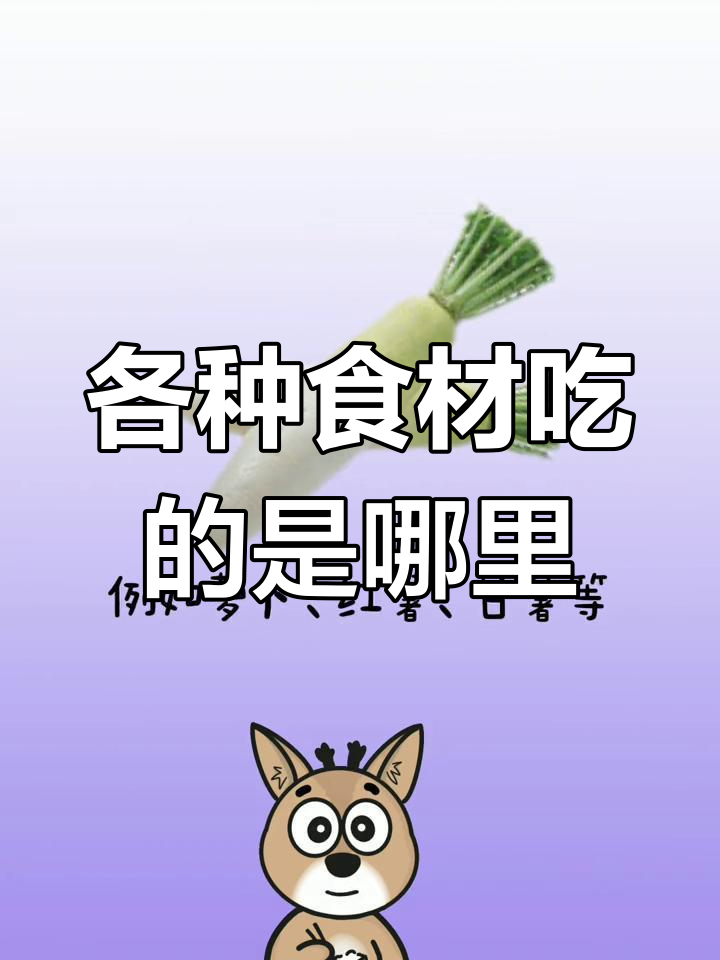 食物的食用部位大揭秘:菠萝、蒜苔和更多