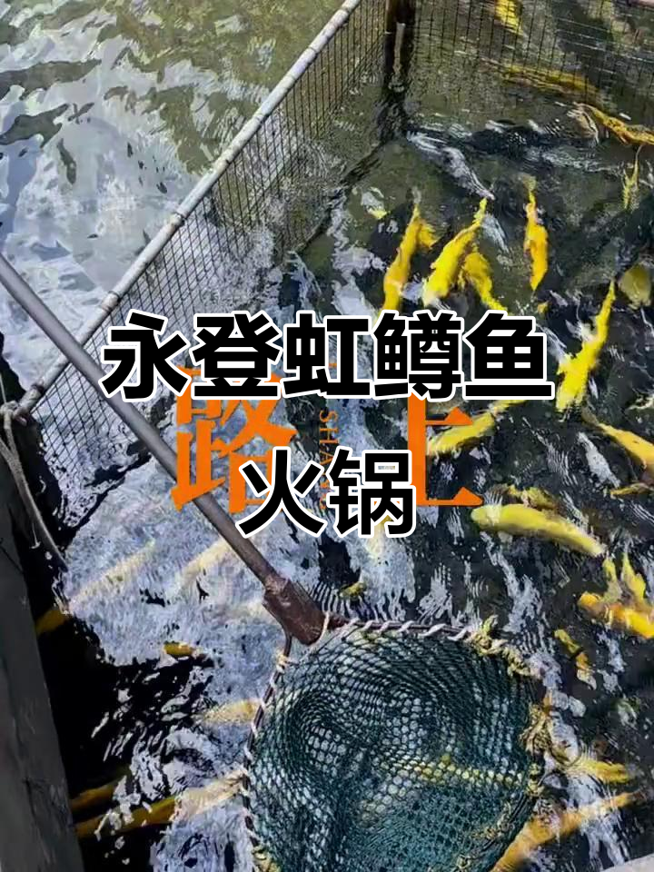 永登虹鳟鱼火锅，鲜美到让人停不下来