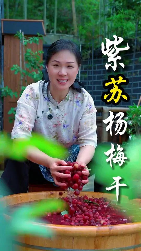 紫苏杨梅干 紫苏杨梅干可是我们小时候一款经典小零食,酸甜可口,还有紫苏的香味,真的根本停不