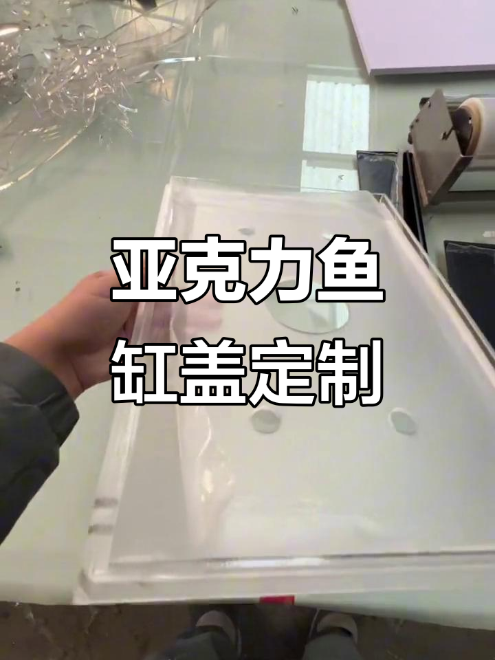 定制萤火虫鱼缸盖,防尘、透气又美观