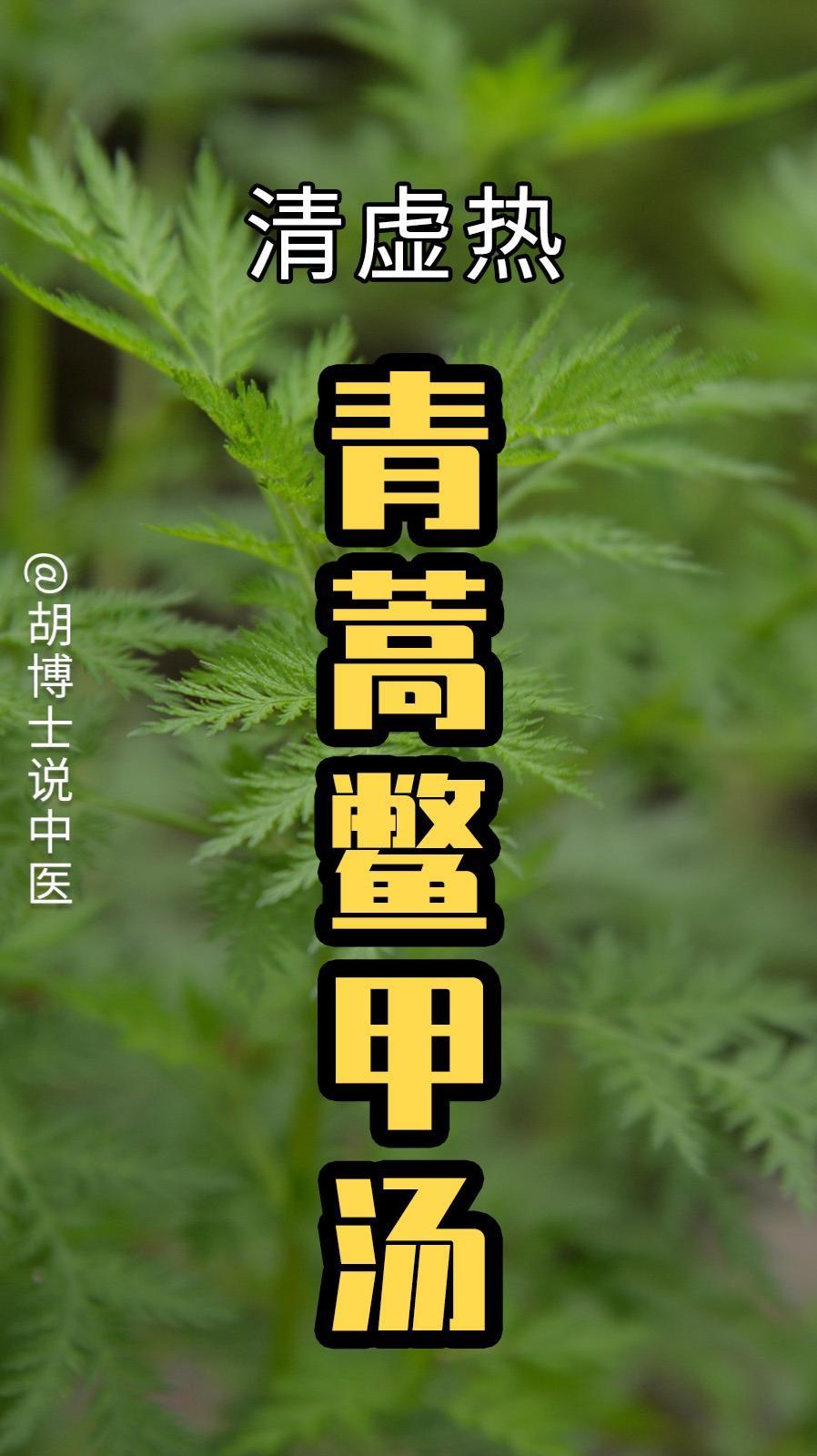 怎么判断身体有虚热?虚热 青蒿 青蒿鳖甲汤 中医 胡博士说中医