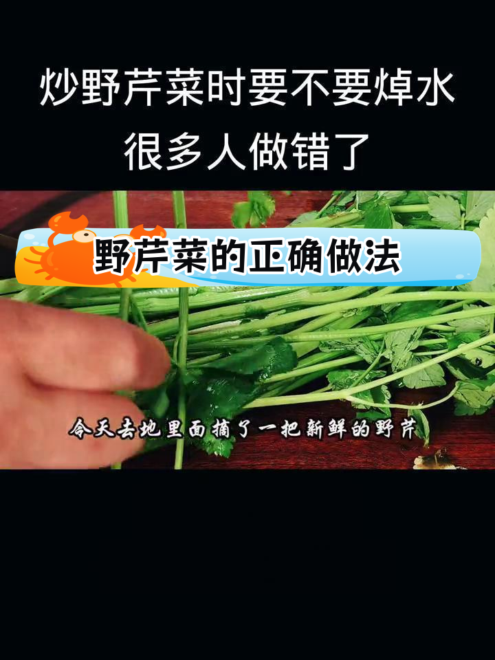 野芹菜炒法大揭秘,焯水误区要避开