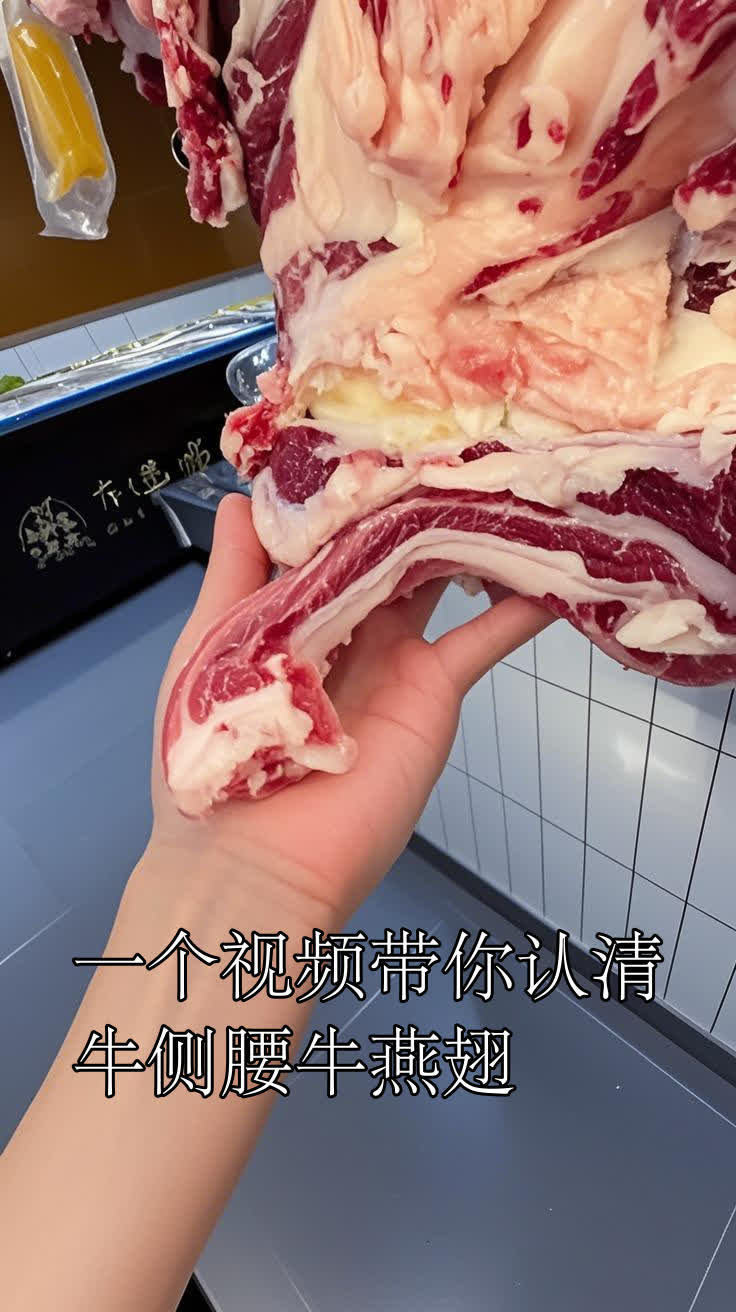 一个视频带你认清牛侧腰牛燕翅
