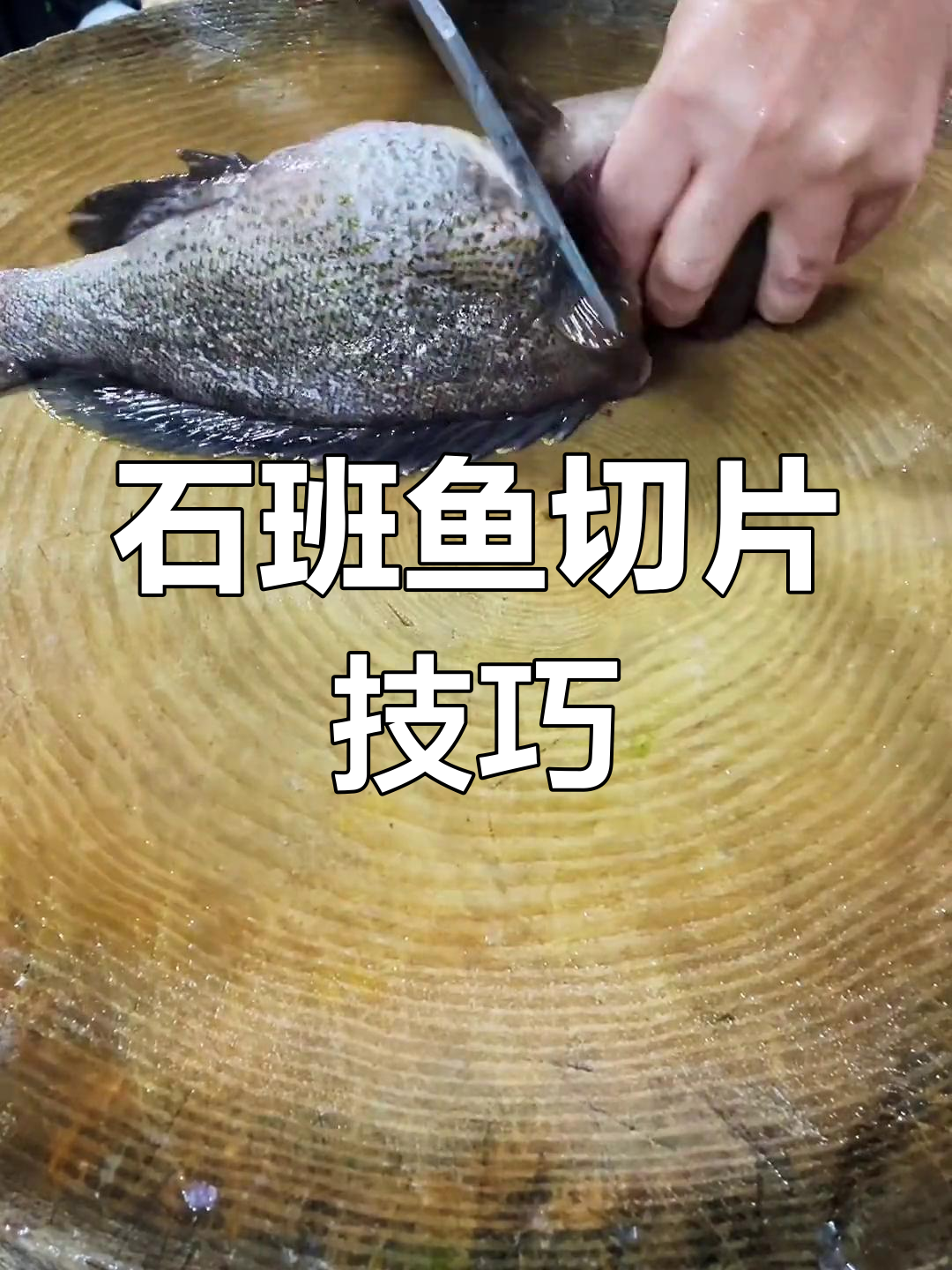 冬季火锅必备,石班鱼厚片切法大揭秘