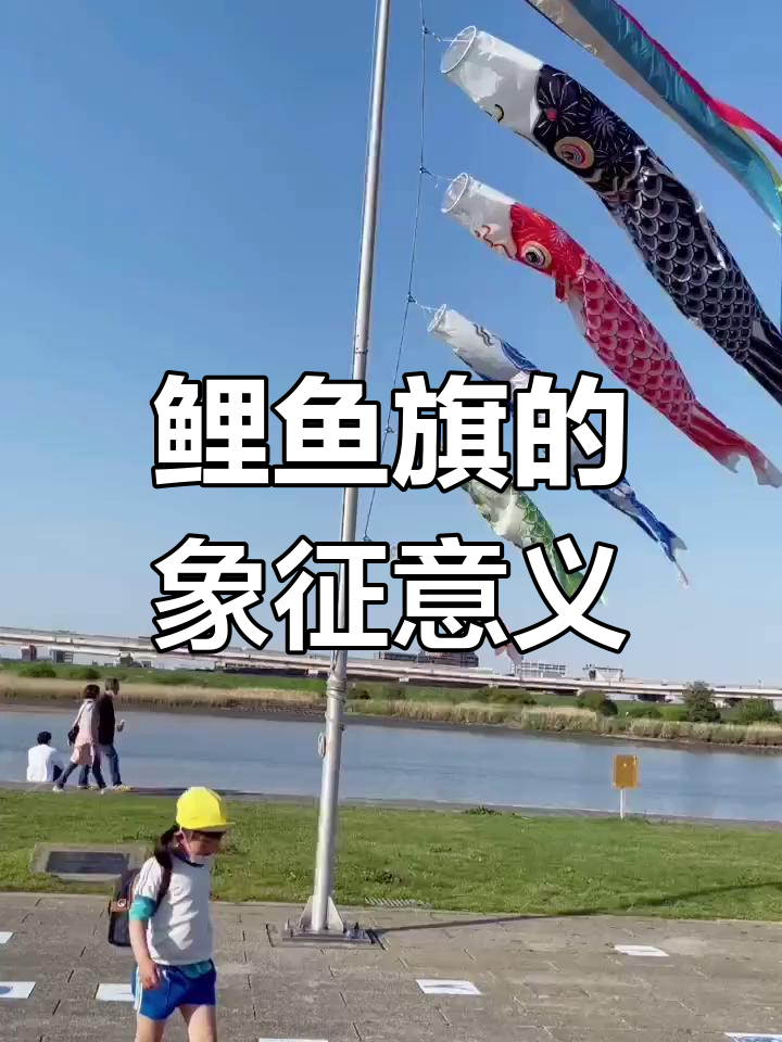 5月5日男孩节挂鲤鱼旗,寓意跃龙门传古谚