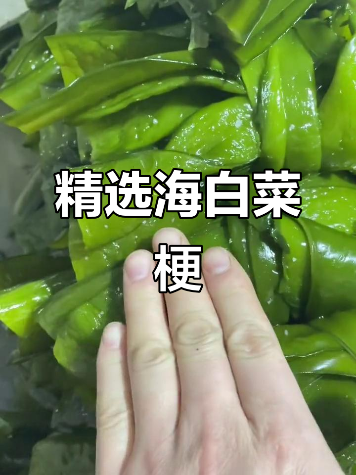 海白菜梗挑选技巧,嫩滑美味全靠这一招