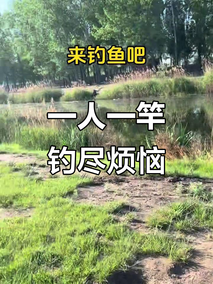 钓鱼的孤独与快乐,享受一个人的宁静时光