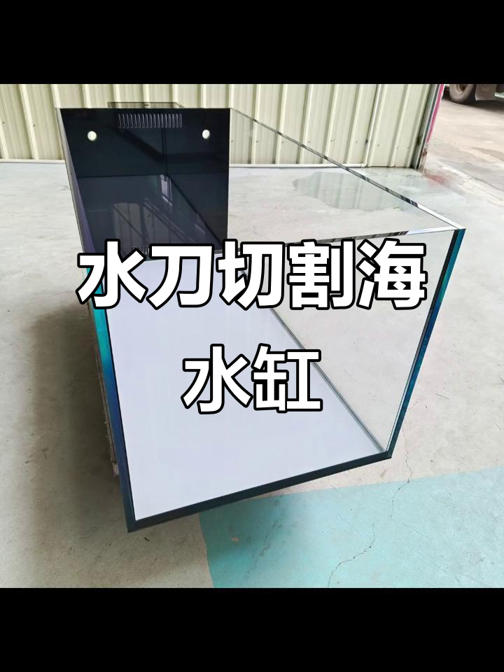 海水缸定制,夹胶玻璃水刀鱼梳设计