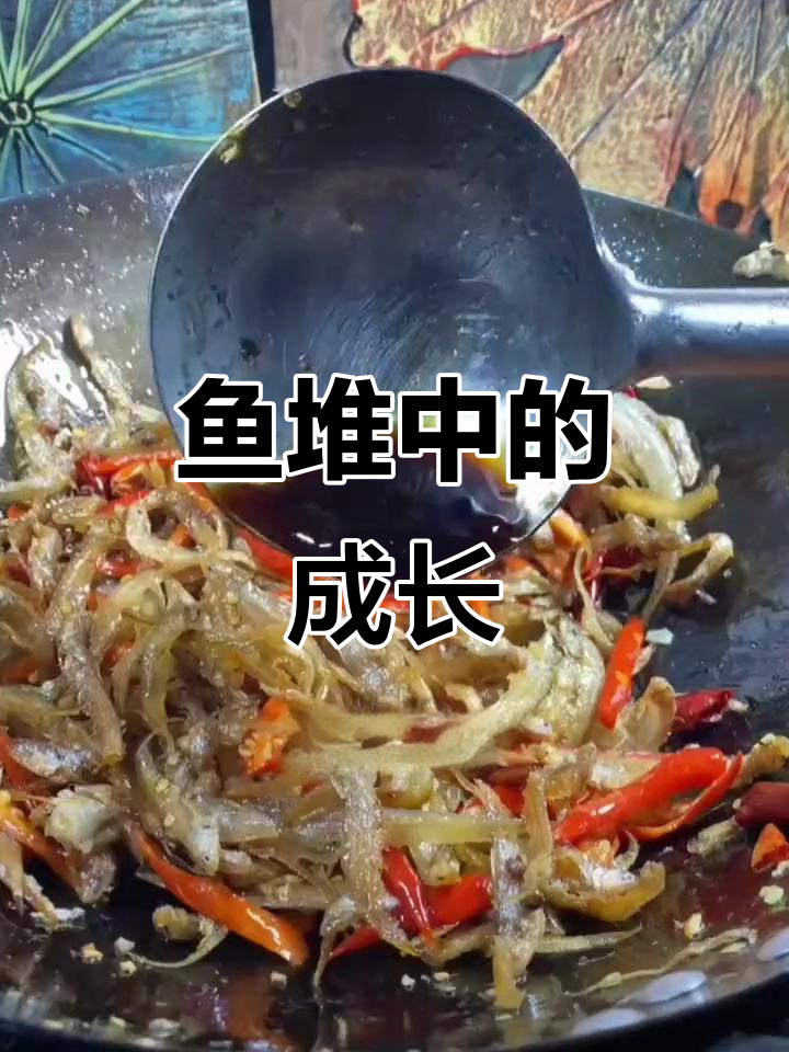从小在鱼堆中长大,父亲靠毛刀鱼支撑我们求学之路
