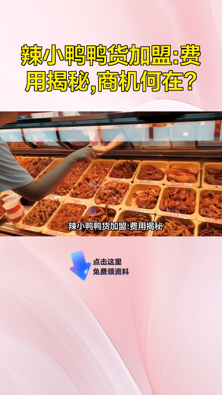 辣小鸭鸭货加盟:费用揭秘,商机何在?