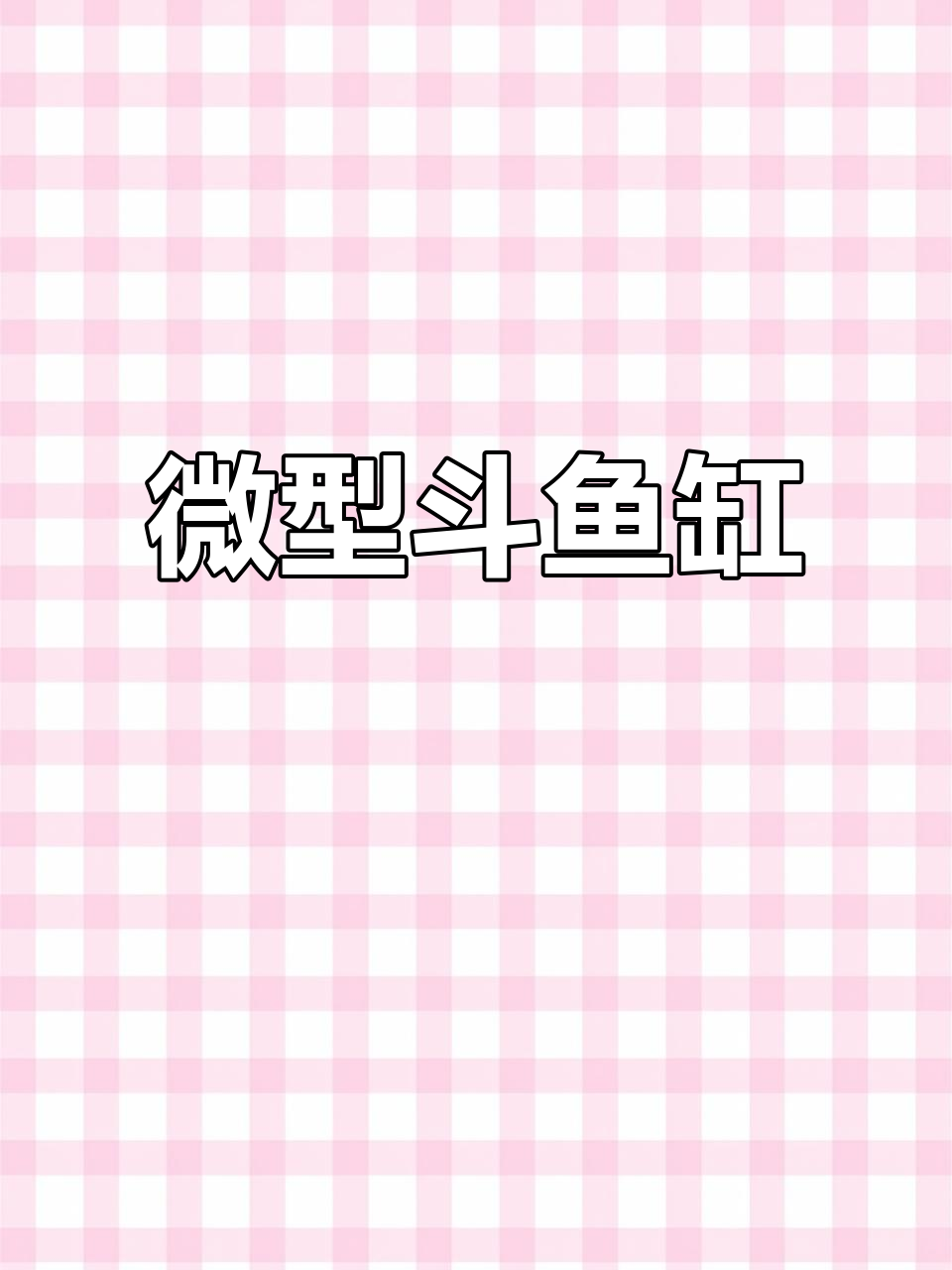 迷你斗鱼缸,创意积木设计,透明高清展现微小世界