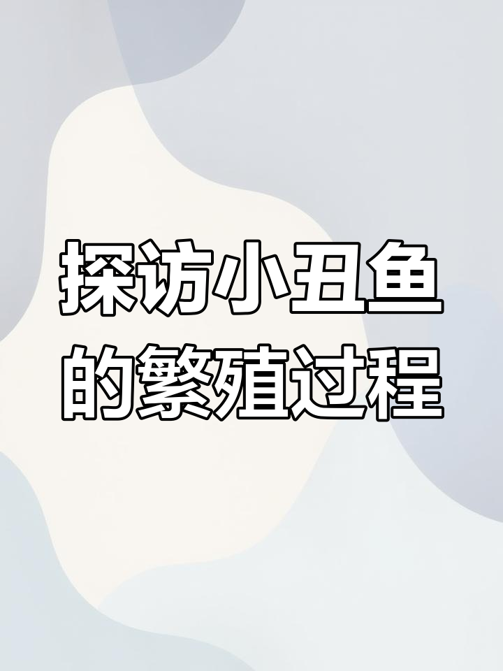 小丑鱼与海葵的共生关系,揭秘养殖场内的秘密