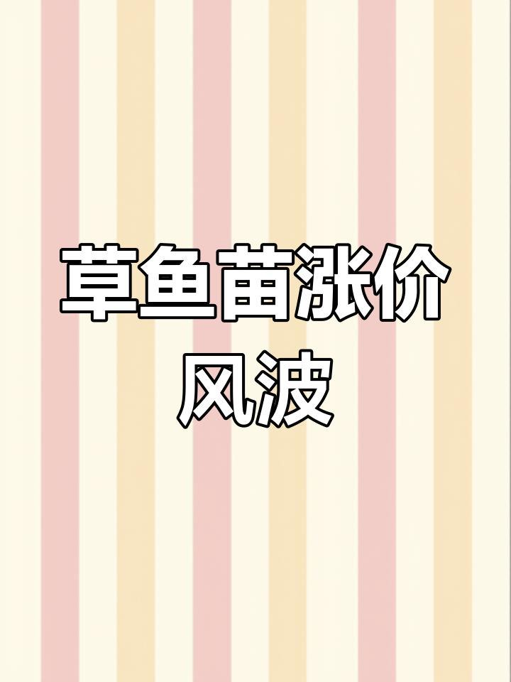 2月25日草鱼苗价格飙升,超市鲩价破6.5元!