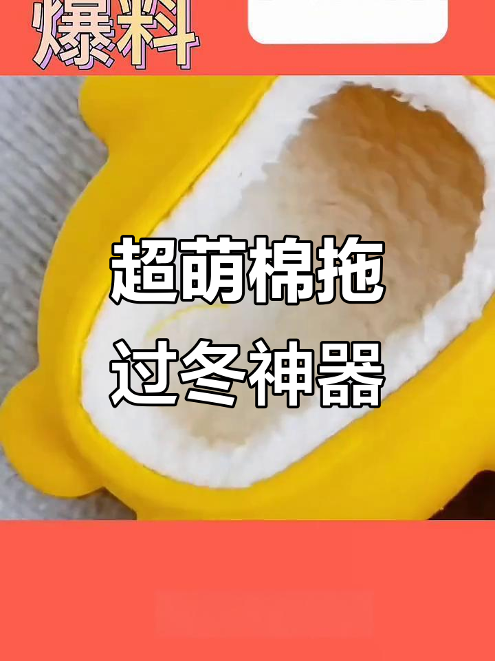 冬季必备棉拖鞋,小熊小企鹅超可爱!
