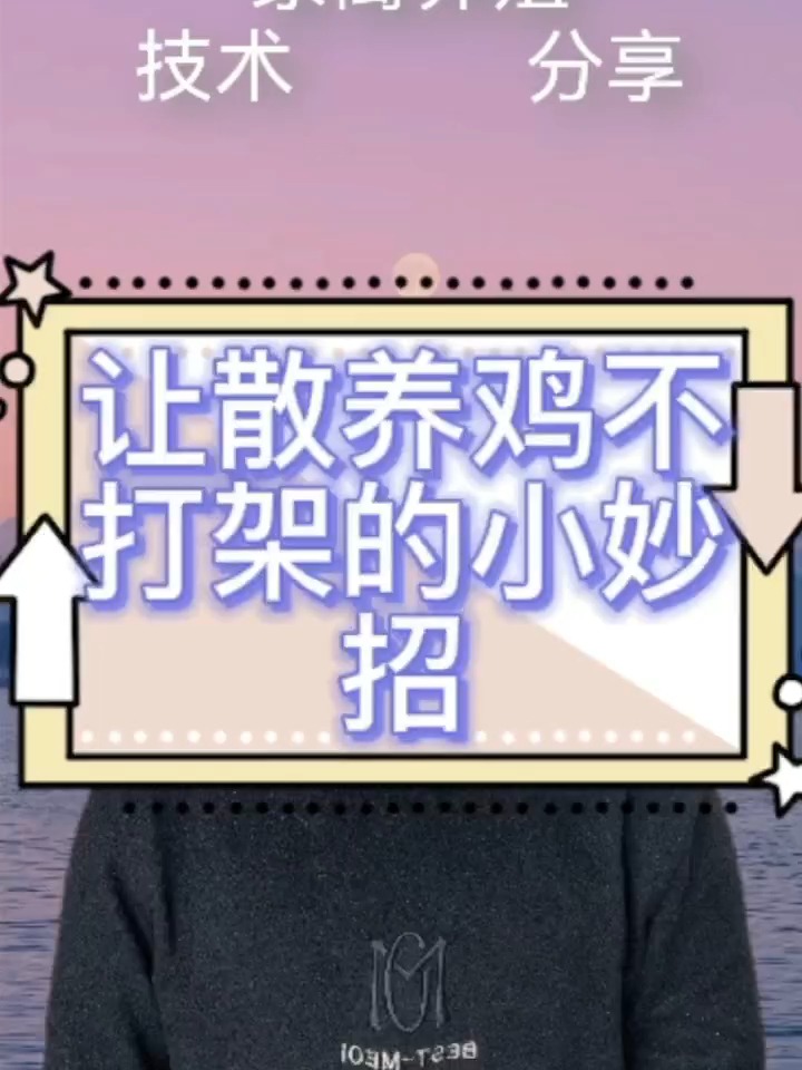 防止公鸡打架的小妙招 防止鸡打架的方法