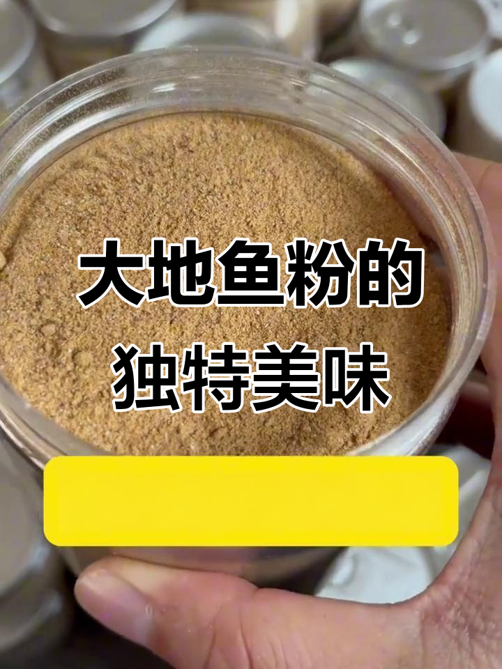 广东人最爱的海味干货,大地鱼粉让菜肴更鲜美