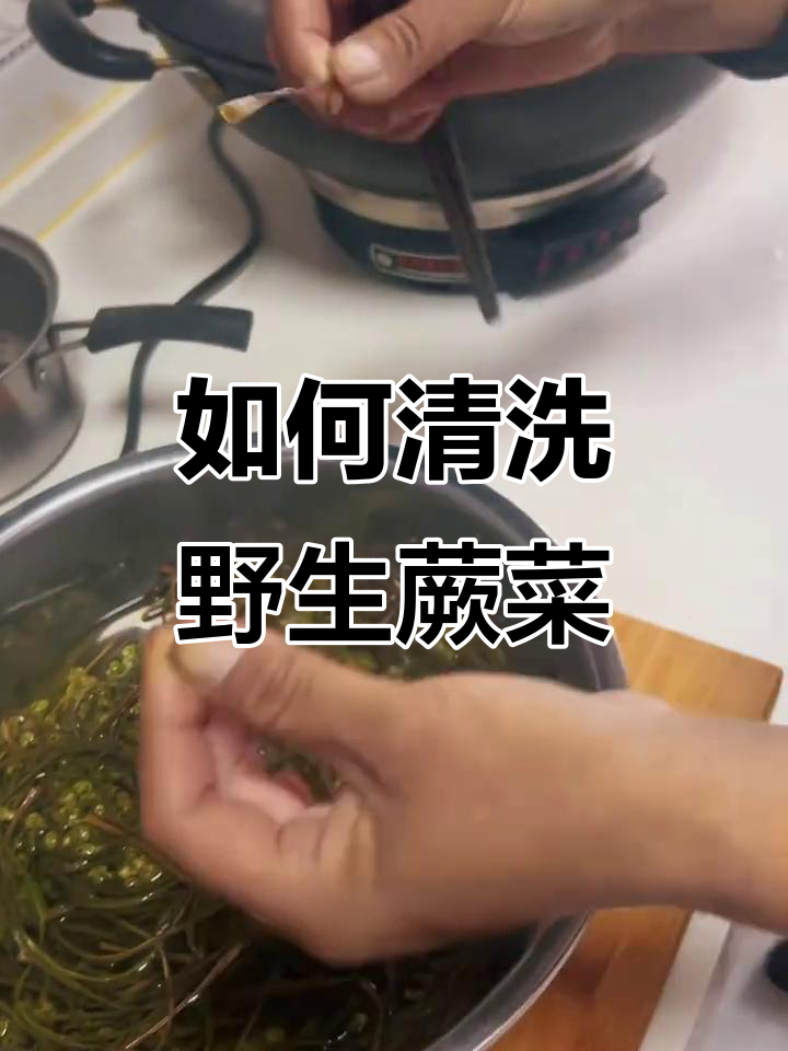 野生蕨菜处理技巧大揭秘,教你如何轻松烹饪美味