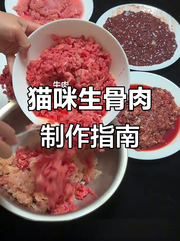 双猫家庭20天自制生骨肉教程,轻松搞定营养餐
