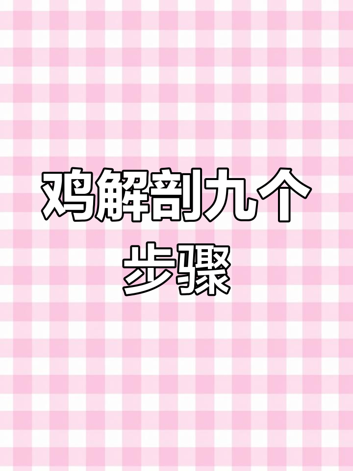 鸡解剖全流程,9步轻松搞定