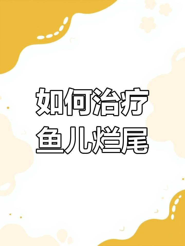 鱼烂尾怎么办?快速有效的治疗方法与预防措施