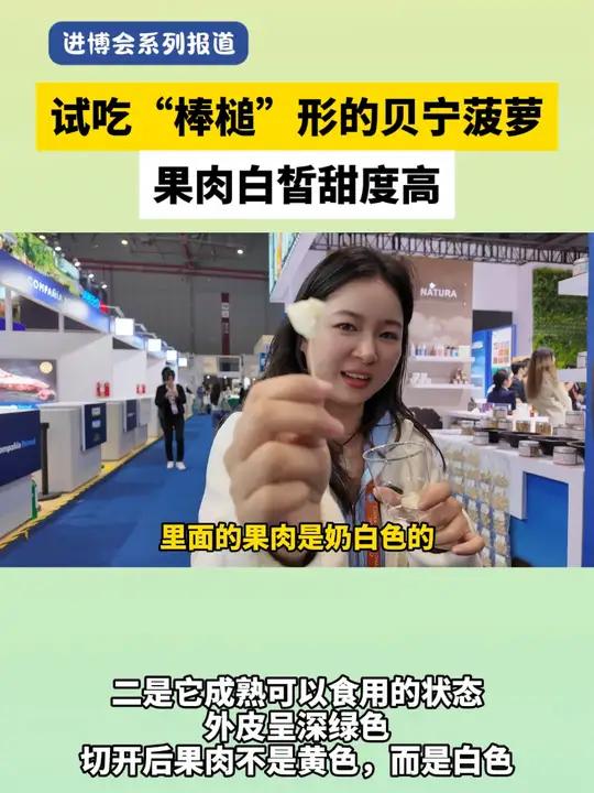 试吃“棒槌”形的贝宁菠萝,果肉白皙甜度高