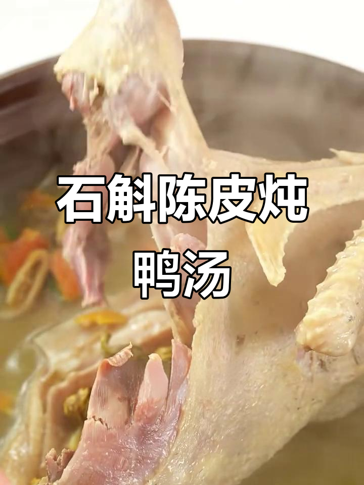 夏季熬夜必备!石斛陈皮老鸭汤,滋补又清爽
