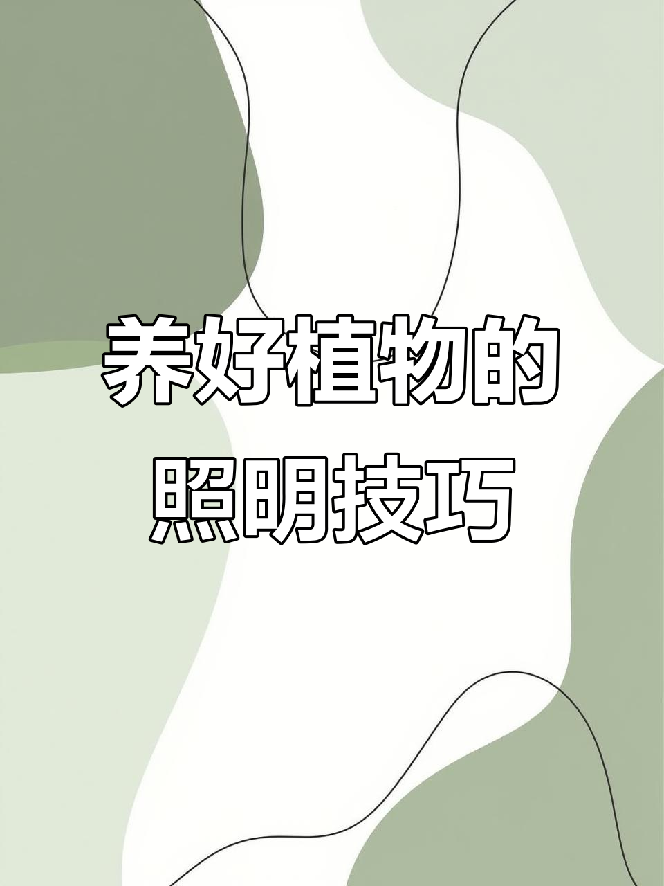 不同植物光照需求全解析,如何正确晒太阳?