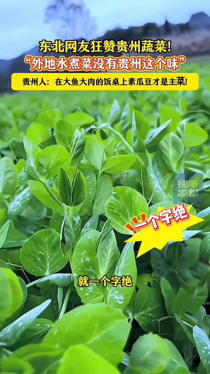 东北网友狂赞贵州蔬菜!“外地水煮菜没有贵州这个味”!贵州 水煮菜