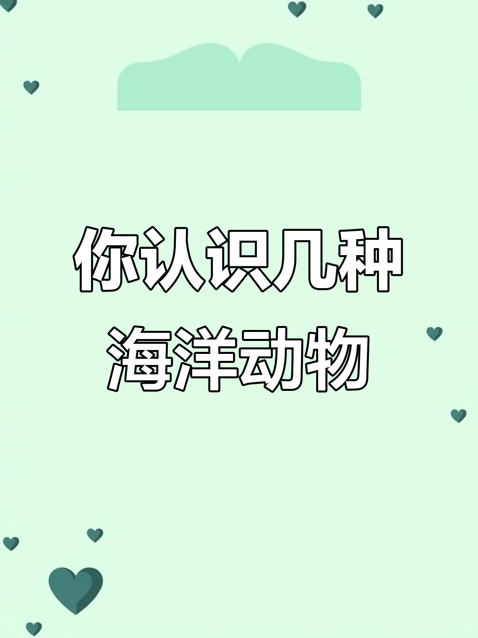 火焰乌贼、青蛙鱼……这些海洋生物你都能认出来吗?