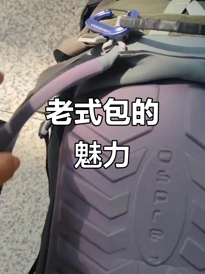 经典老款包,结实耐用,肩带设计超扎实
