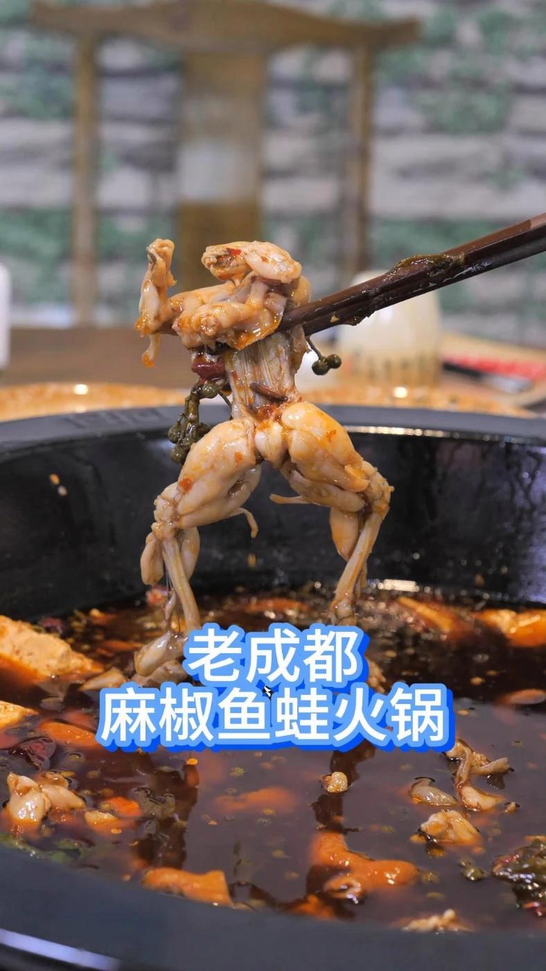 文县美食 老成都麻椒鱼蛙火锅 活鲜现点 美蛙鱼火锅 火锅 文县美蛙鱼