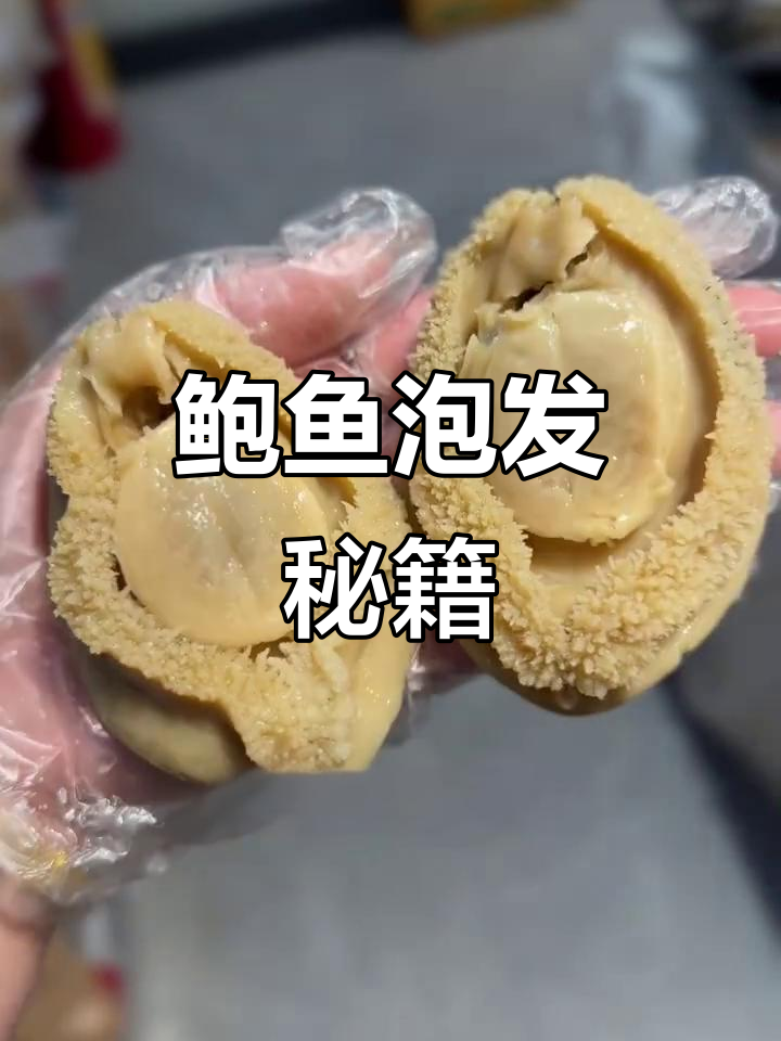 干鲍鱼泡发秘诀，冰箱冷藏两天，炖汤煮粥更鲜美！