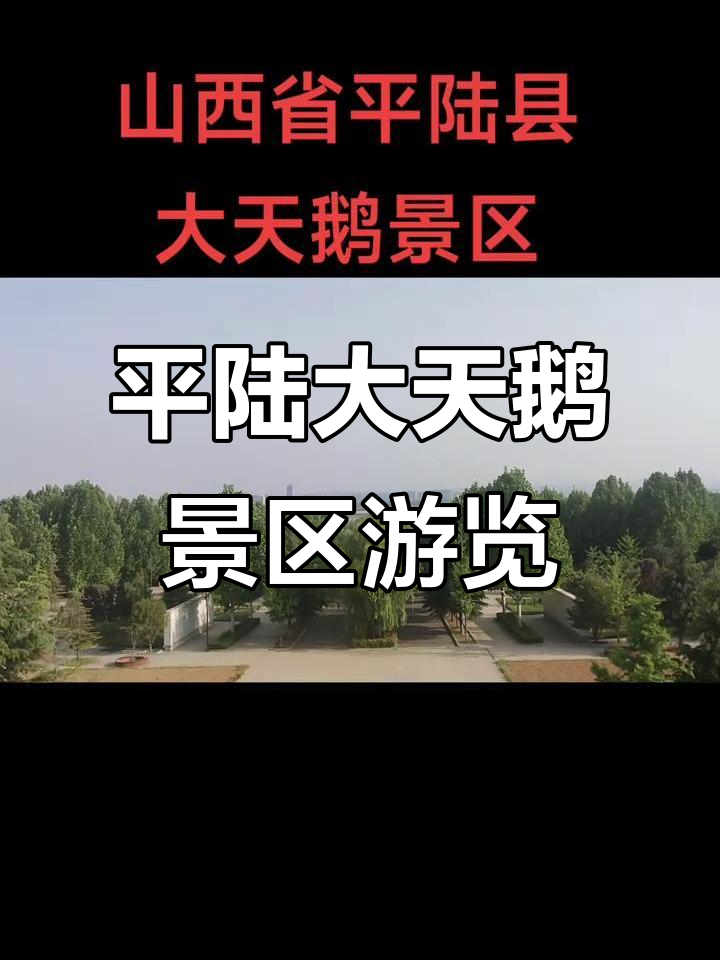 山西平陆大天鹅景区探秘,黄河岸边的隐世美景