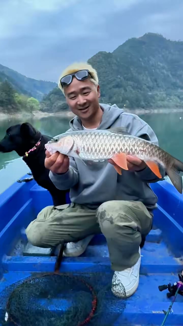 老家盘军鱼,纯天然野生钓获