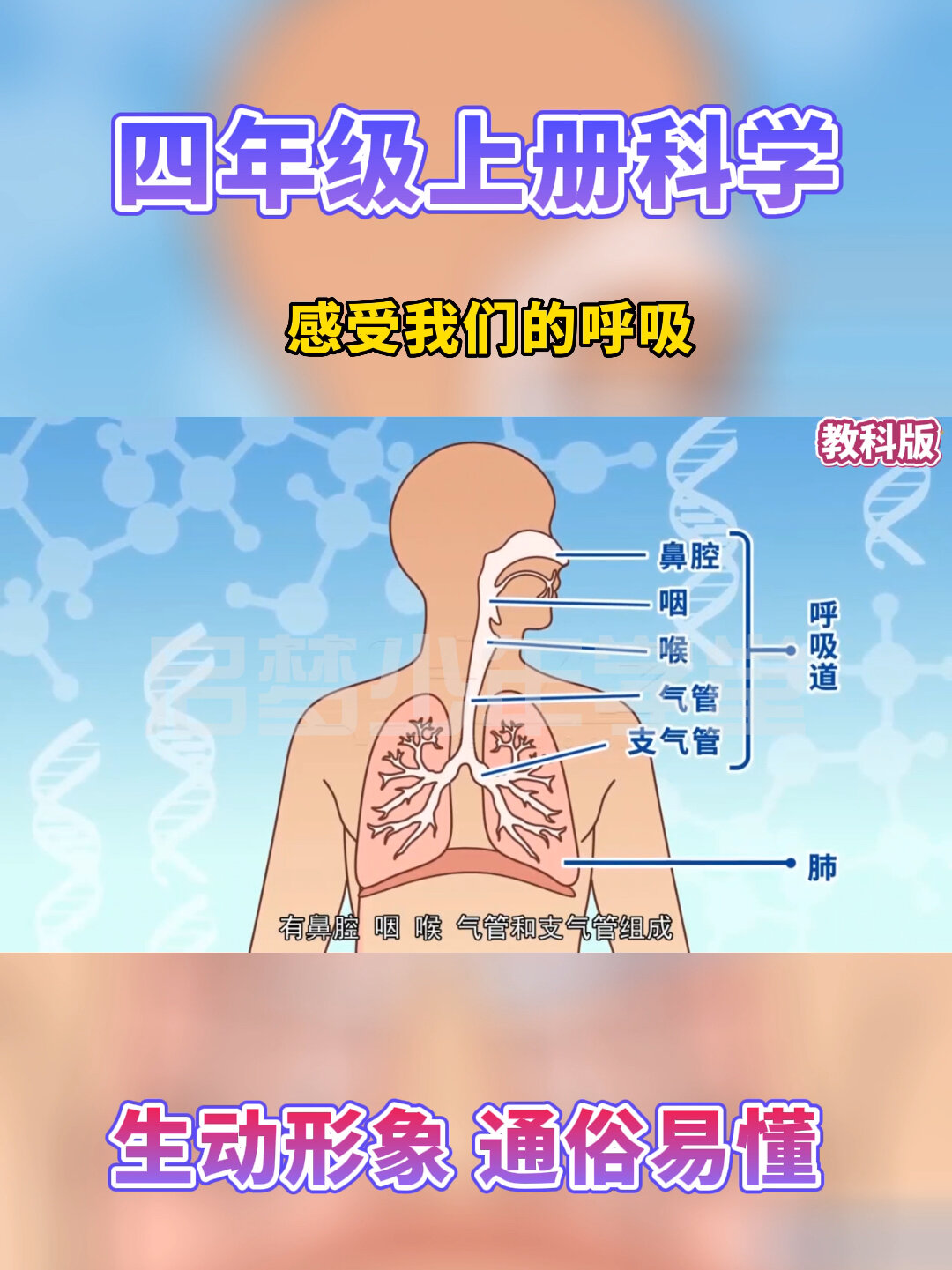 四年级上册科学《感受我们的呼吸》教科版